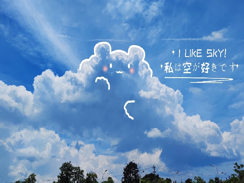 陈女士成功案例